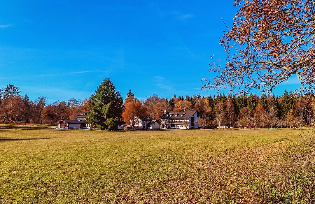 Waldhotel Geländer-1